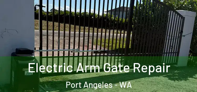  Electric Arm Gate Repair Port Angeles - WA