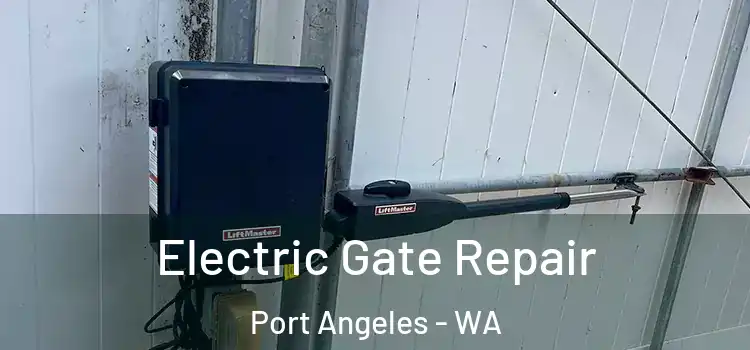  Electric Gate Repair Port Angeles - WA