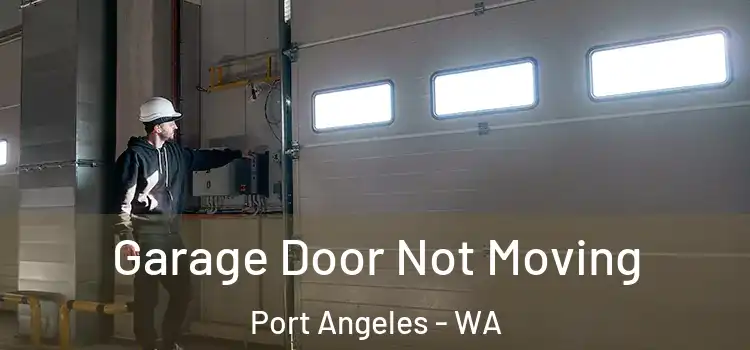 Garage Door Not Moving Port Angeles - WA