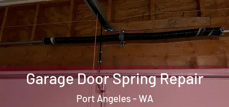  Garage Door Spring Repair Port Angeles - WA