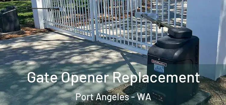  Gate Opener Replacement Port Angeles - WA