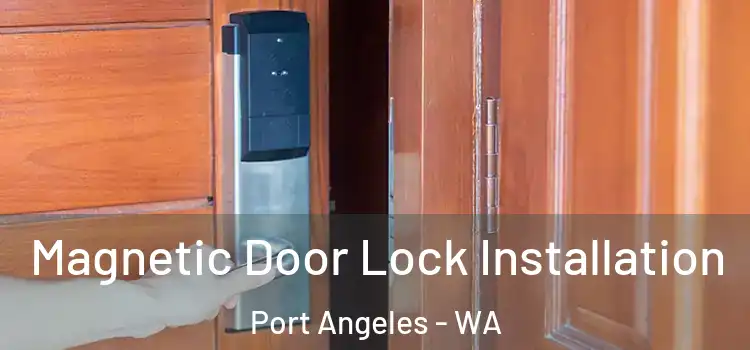 Magnetic Door Lock Installation Port Angeles - WA